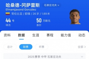 石家庄功夫外援谈胡靖:对手被救助苏醒,这比比赛更为重要