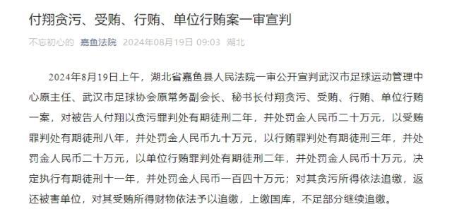 九游体育官网入口-武汉足协原秘书长付翔获刑11年 并处罚金140万
